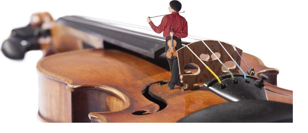 Marek Pavelec - solo violinist of every style